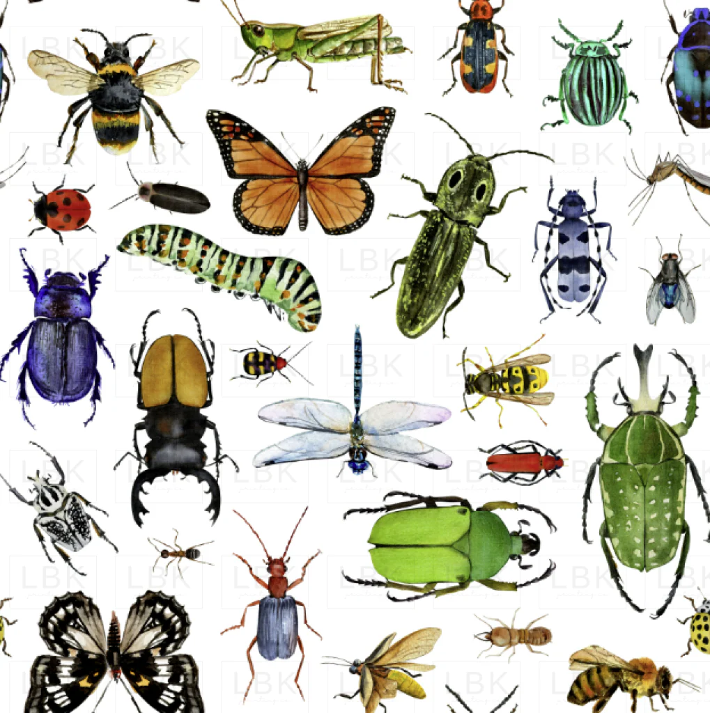 A Bug's Life