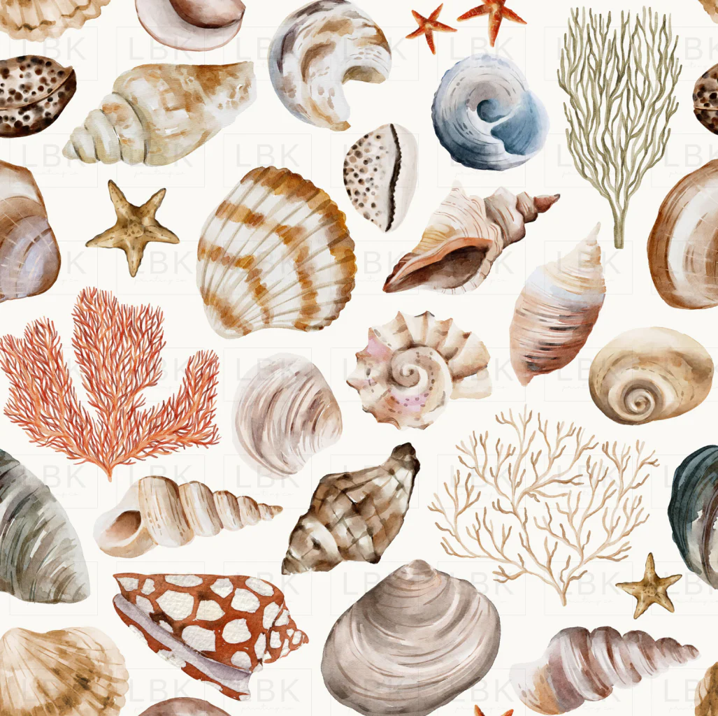 Beach Sea Shells