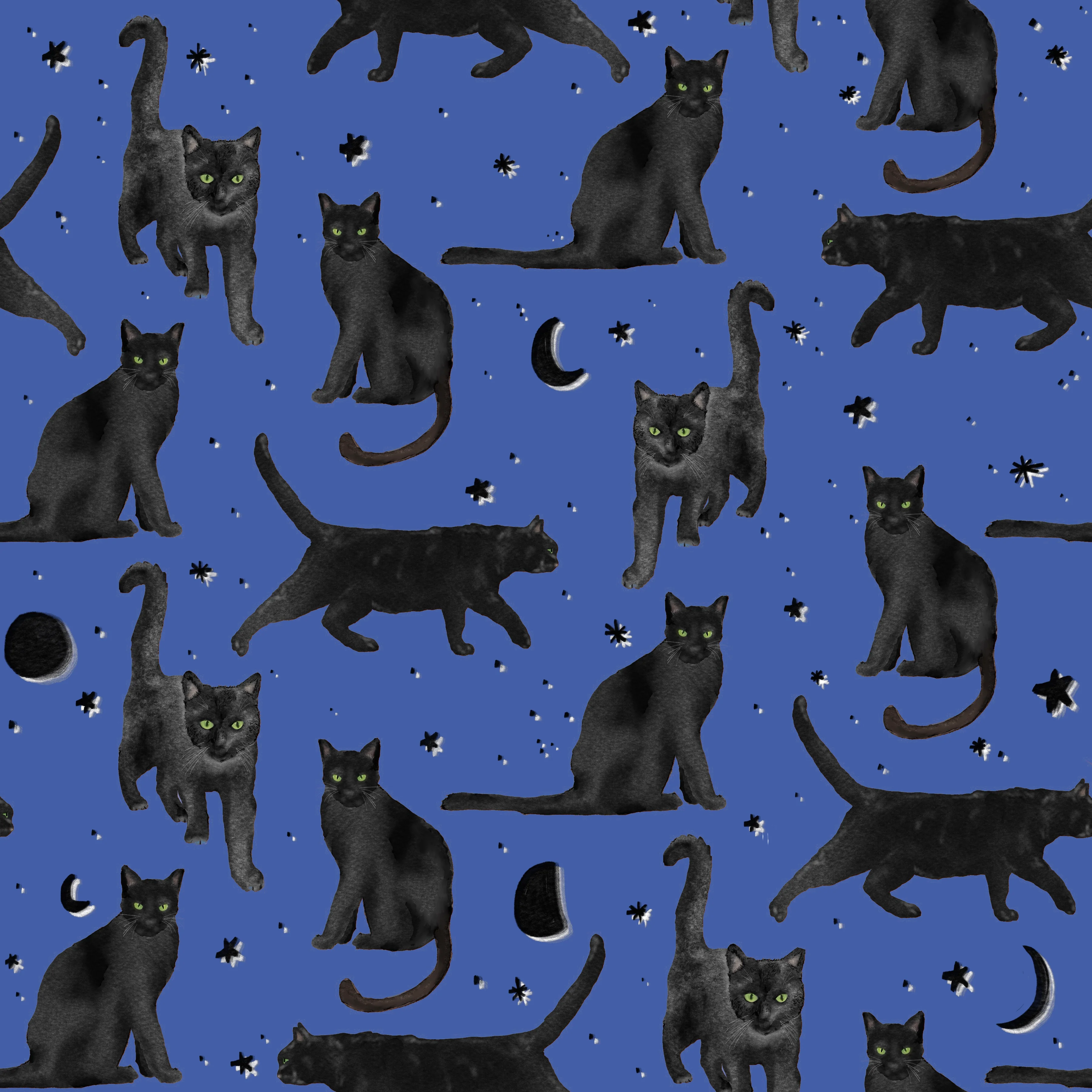 Black cats prowl - twilight sky