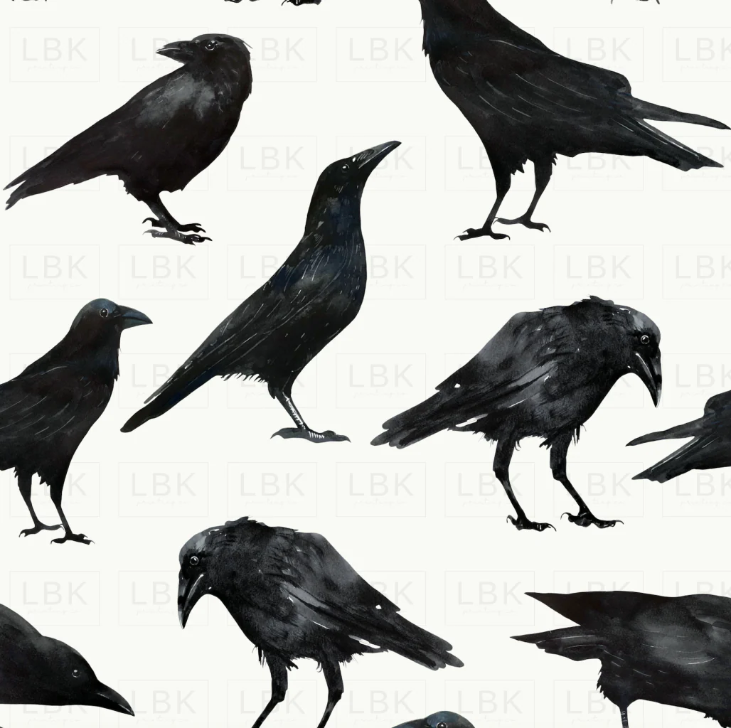 Black Crows