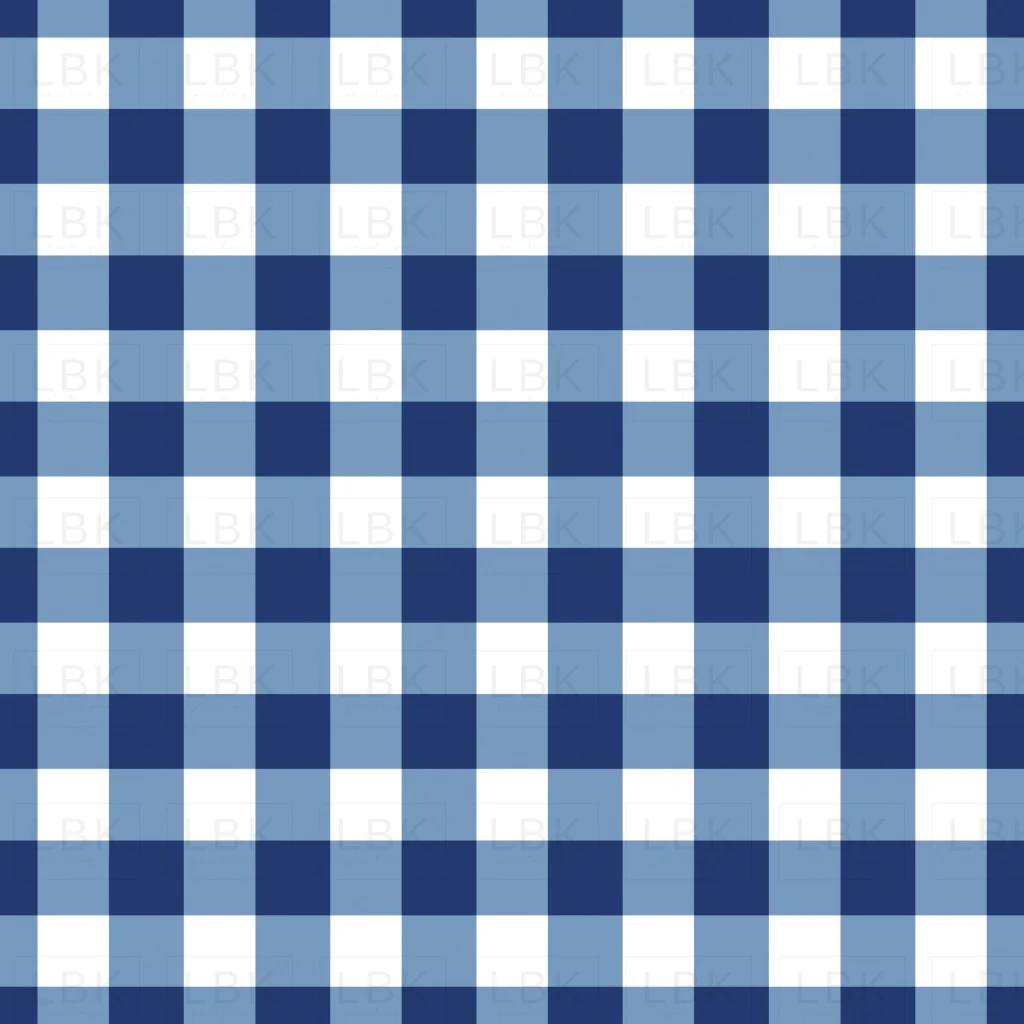 Blue and White Gingham