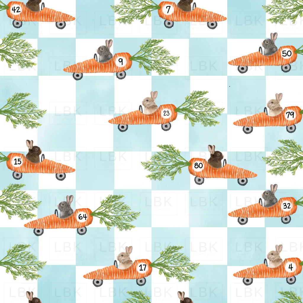 bluecheckracerrabbit