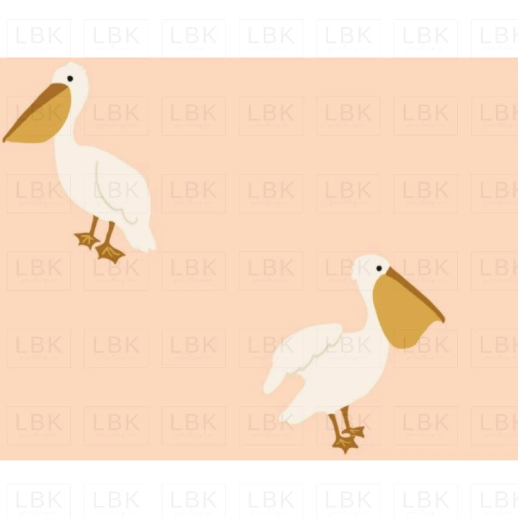 Boho Pelicans in Blush