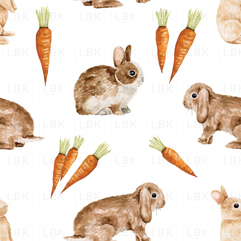 Bunnies and Carrots