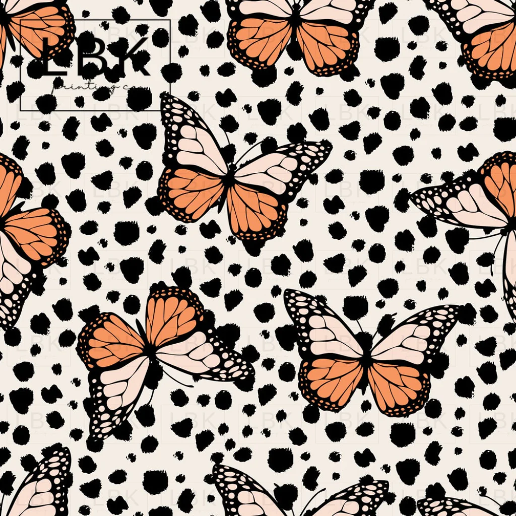 butterfly2