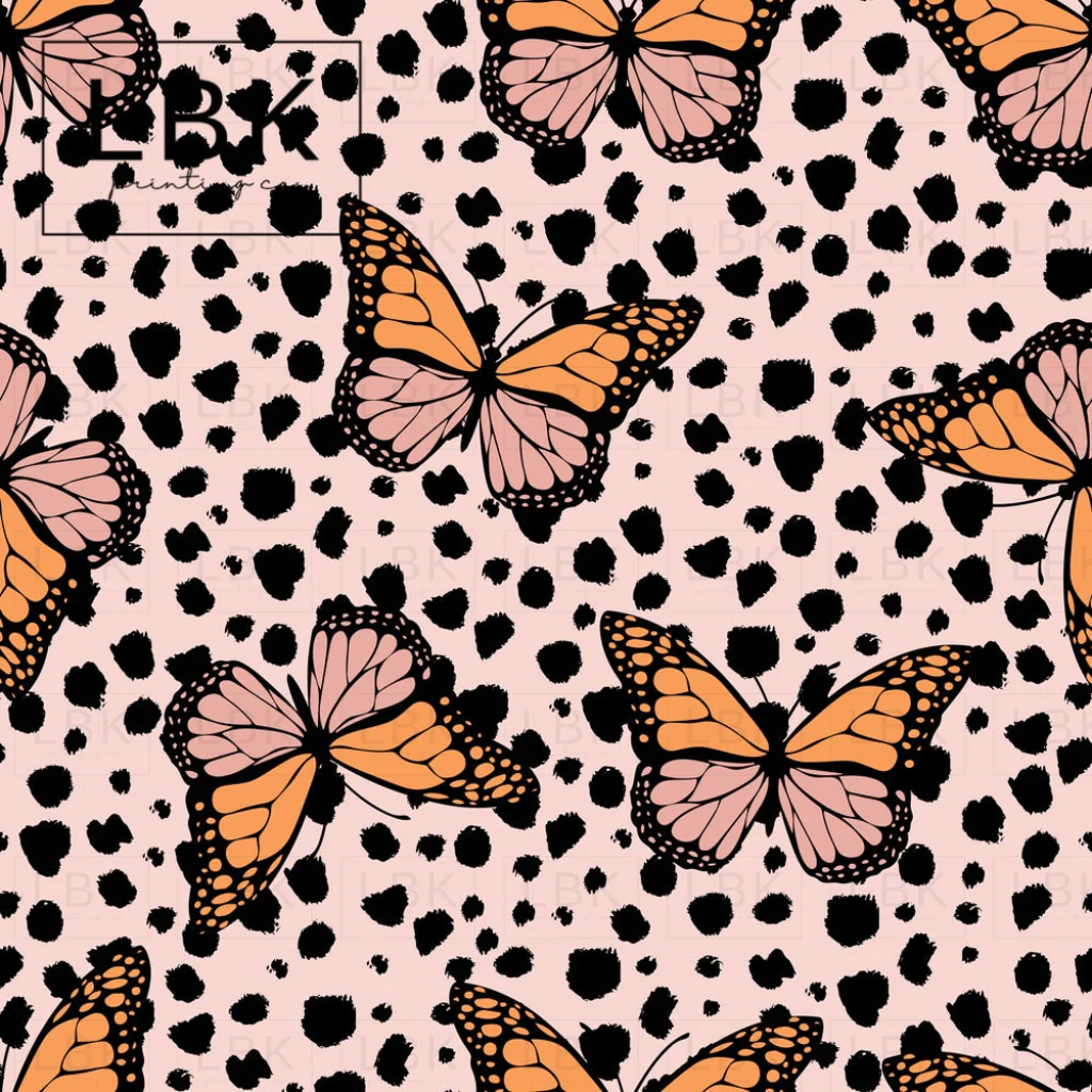 butterfly5