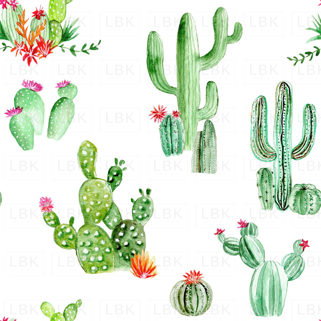 Cactus and Succulents