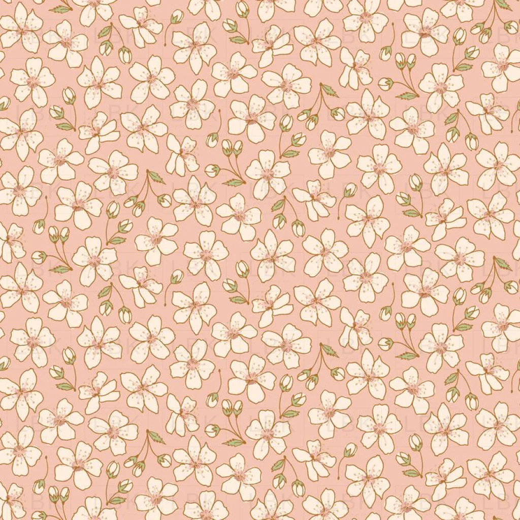 cherry blooms - blush