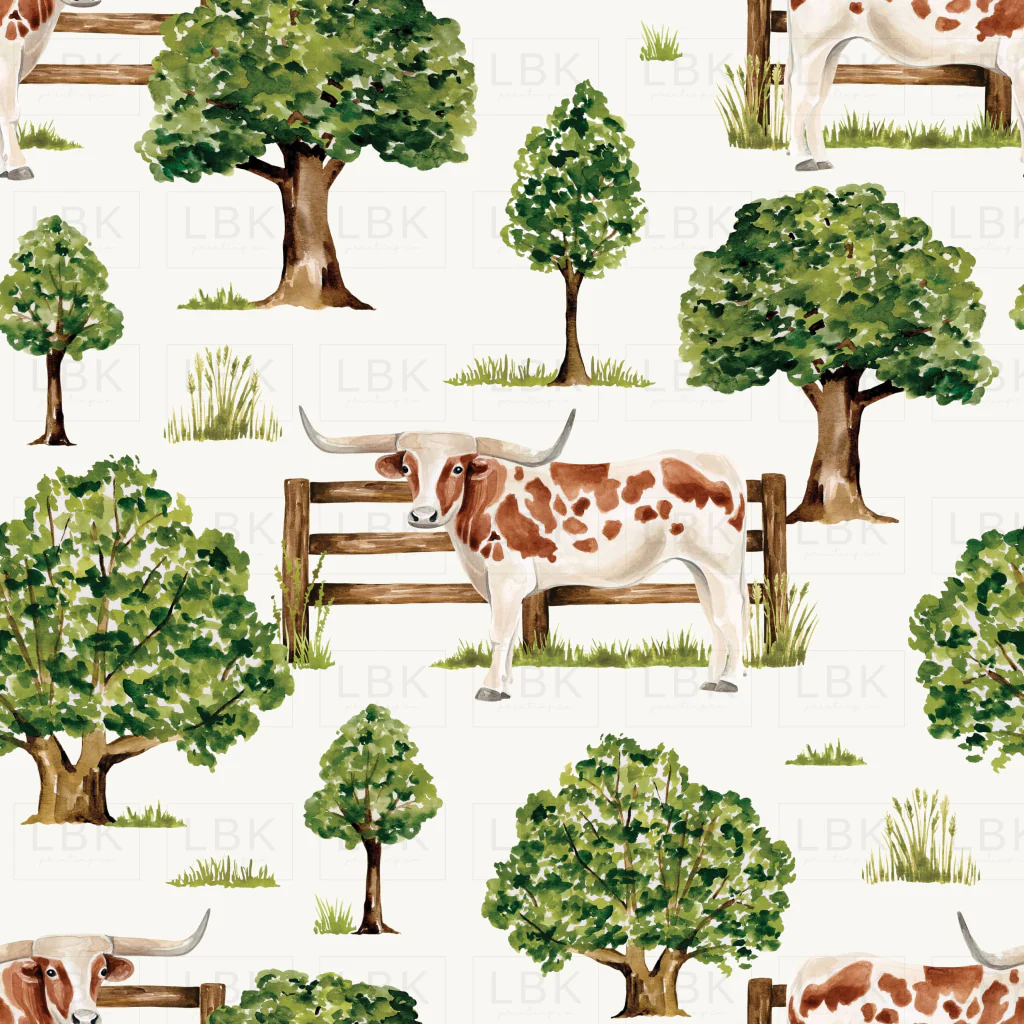 Countryside_TexasLonghornCow
