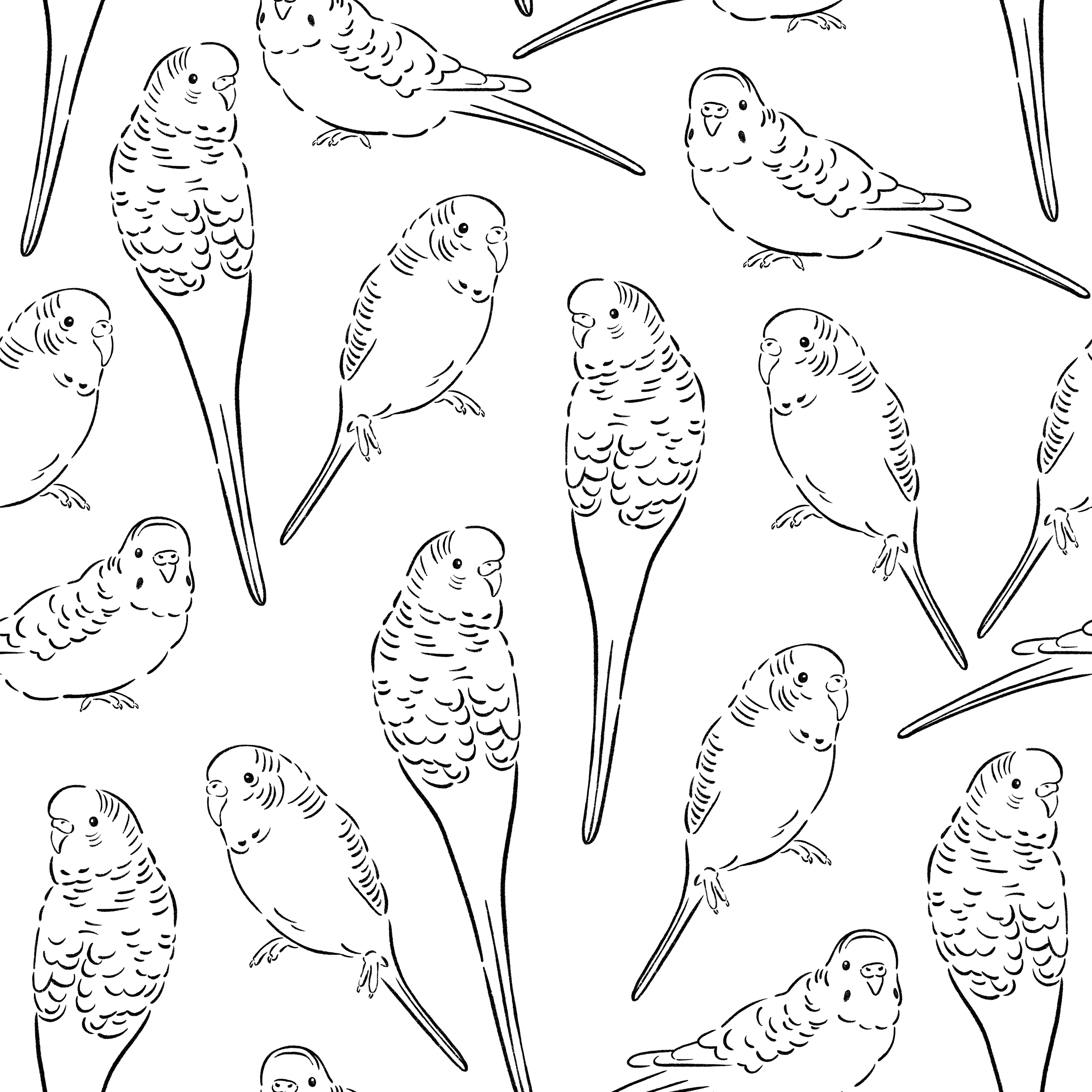 CR_PetShop_Sketched_Parakeets_BlackWhite_RGB