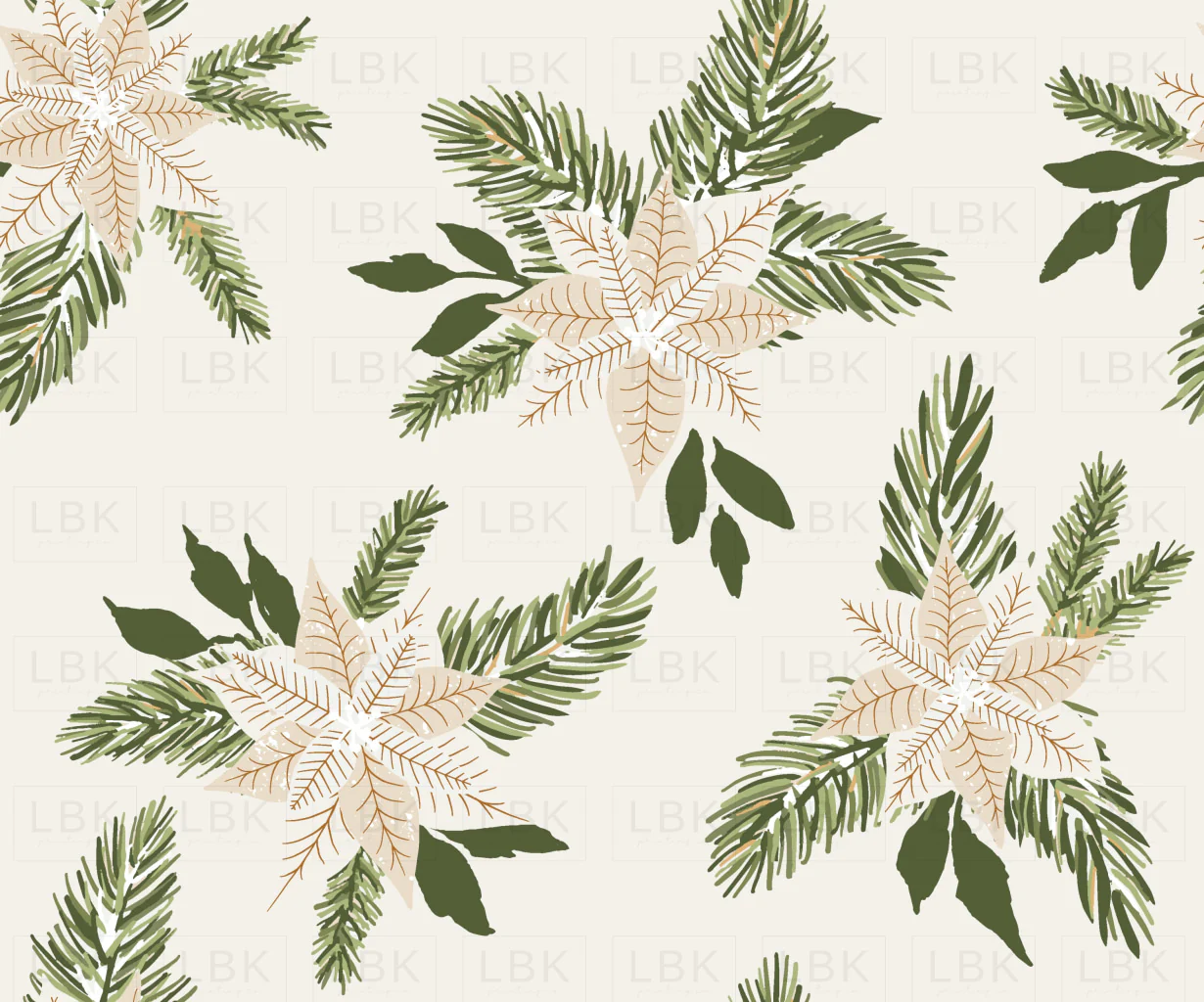 cream poinsettia Christmas flowers