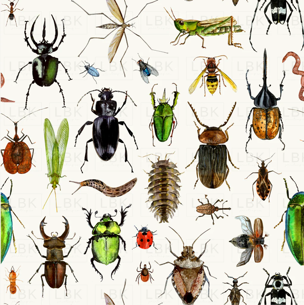 Creepy Crawlers