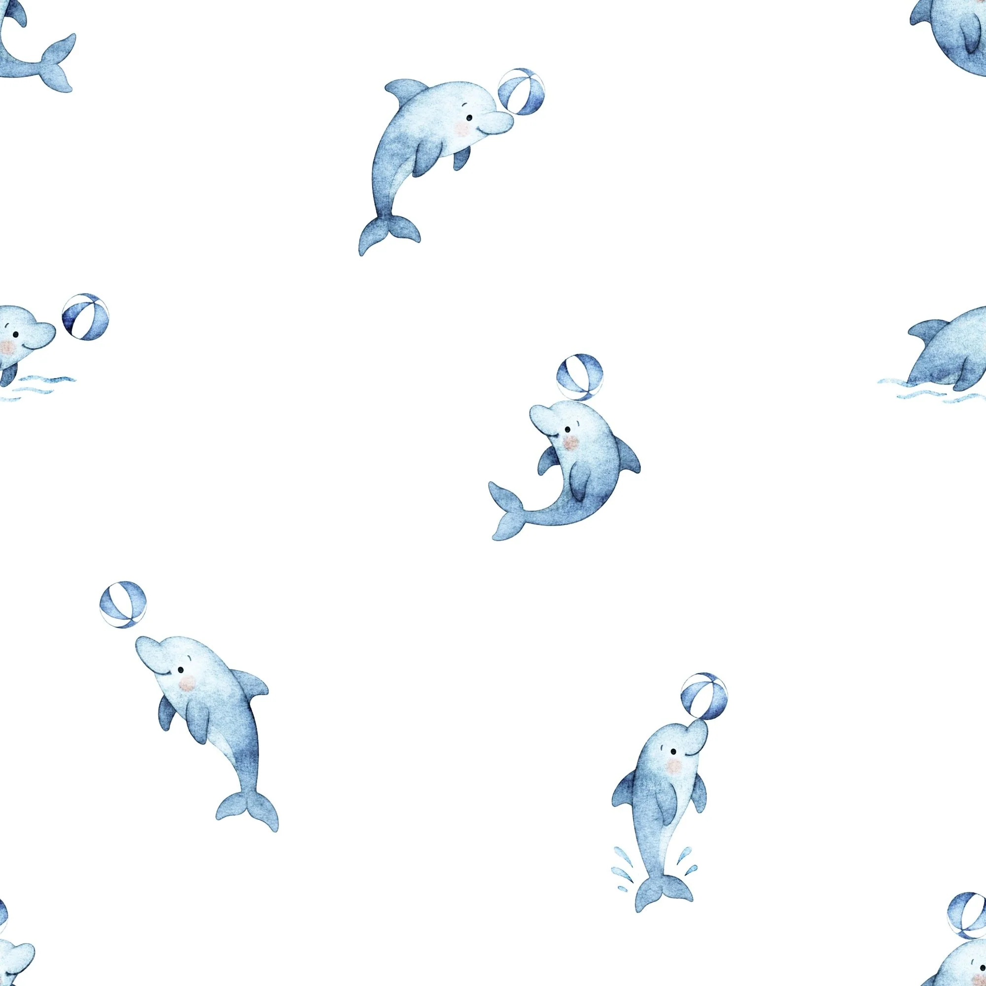 Cute Dolphin