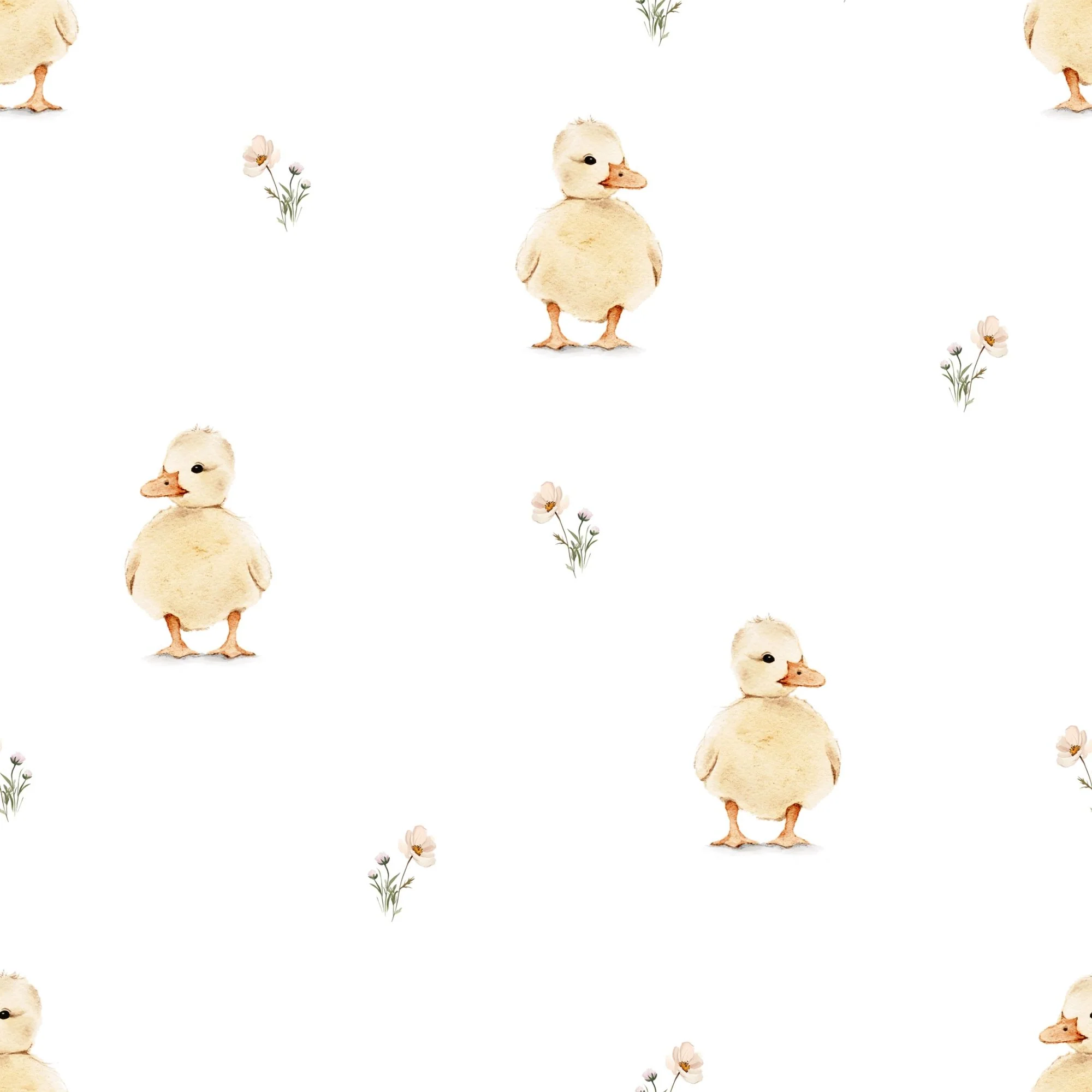 Cute Duck 09