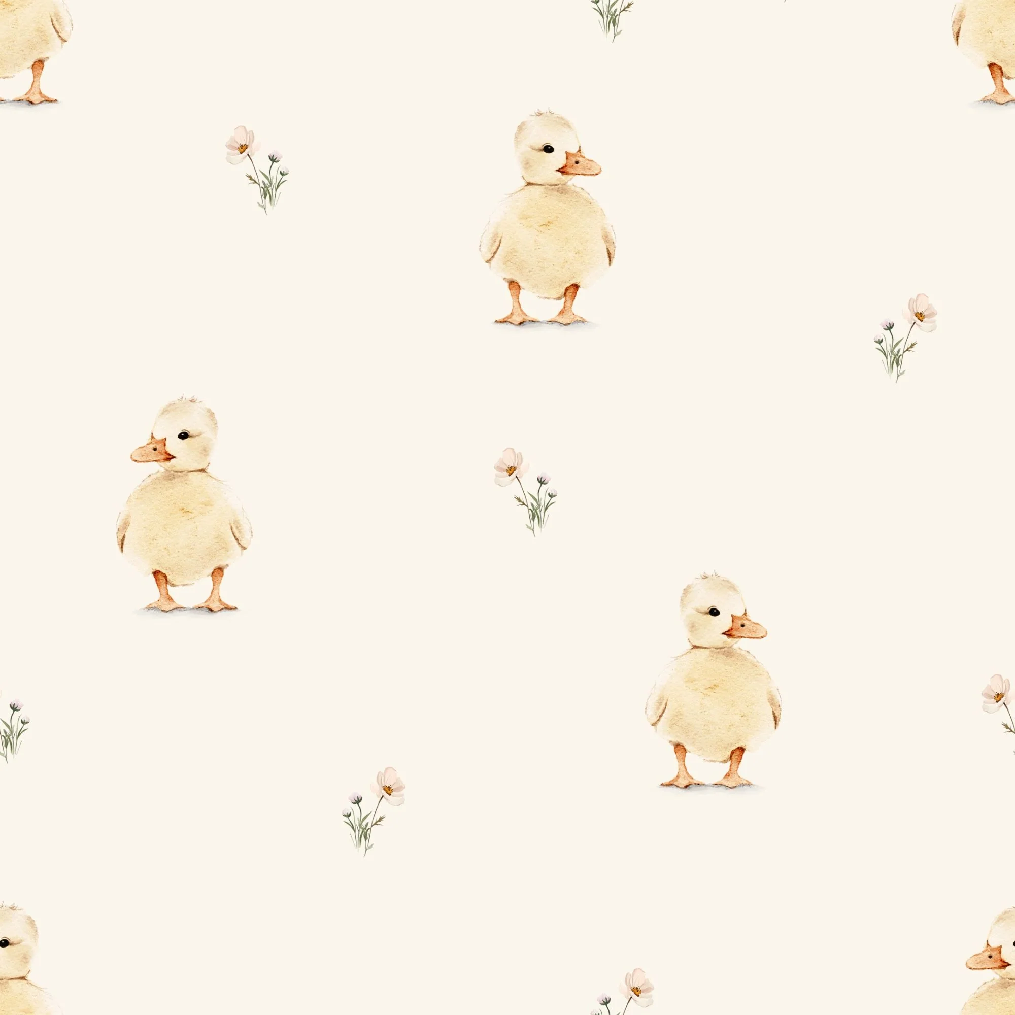 Cute Duck 10