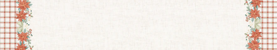 Dear Santa Border Vertical Floral
