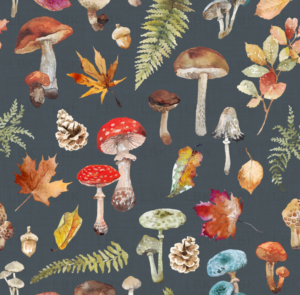 Fall Mushrooms on River Bed