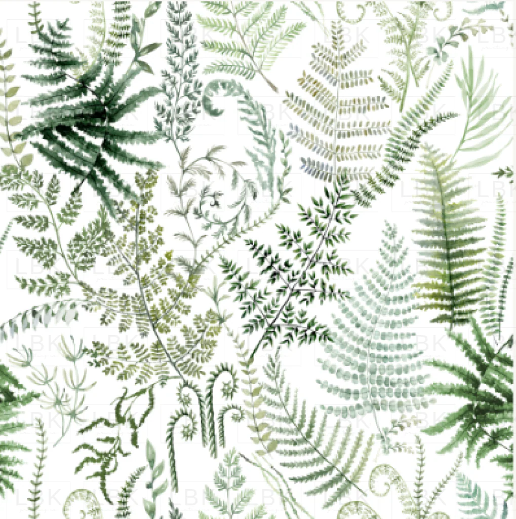 Fern Forest