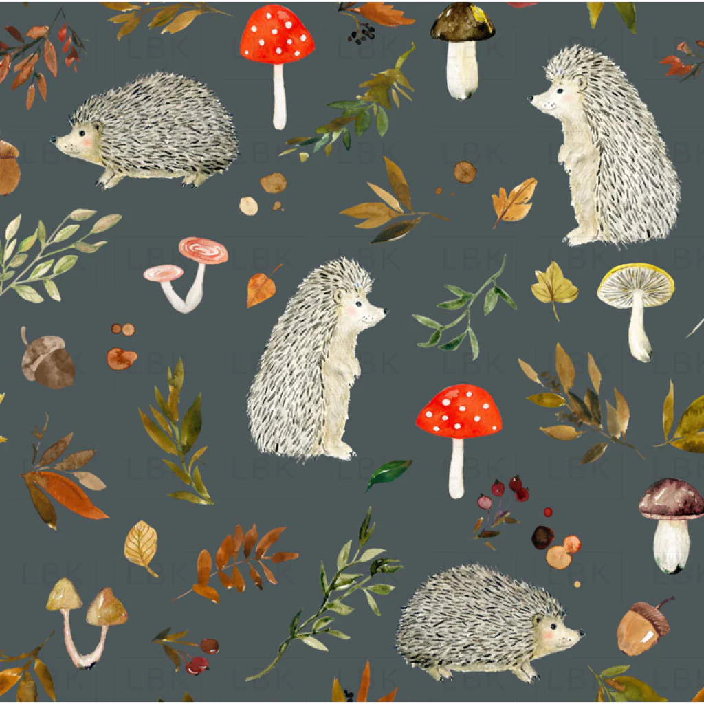 Hedgehogs and Fall Foliage on Cape Cod