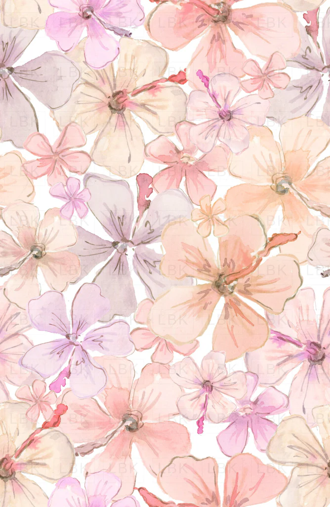 Hibiscus