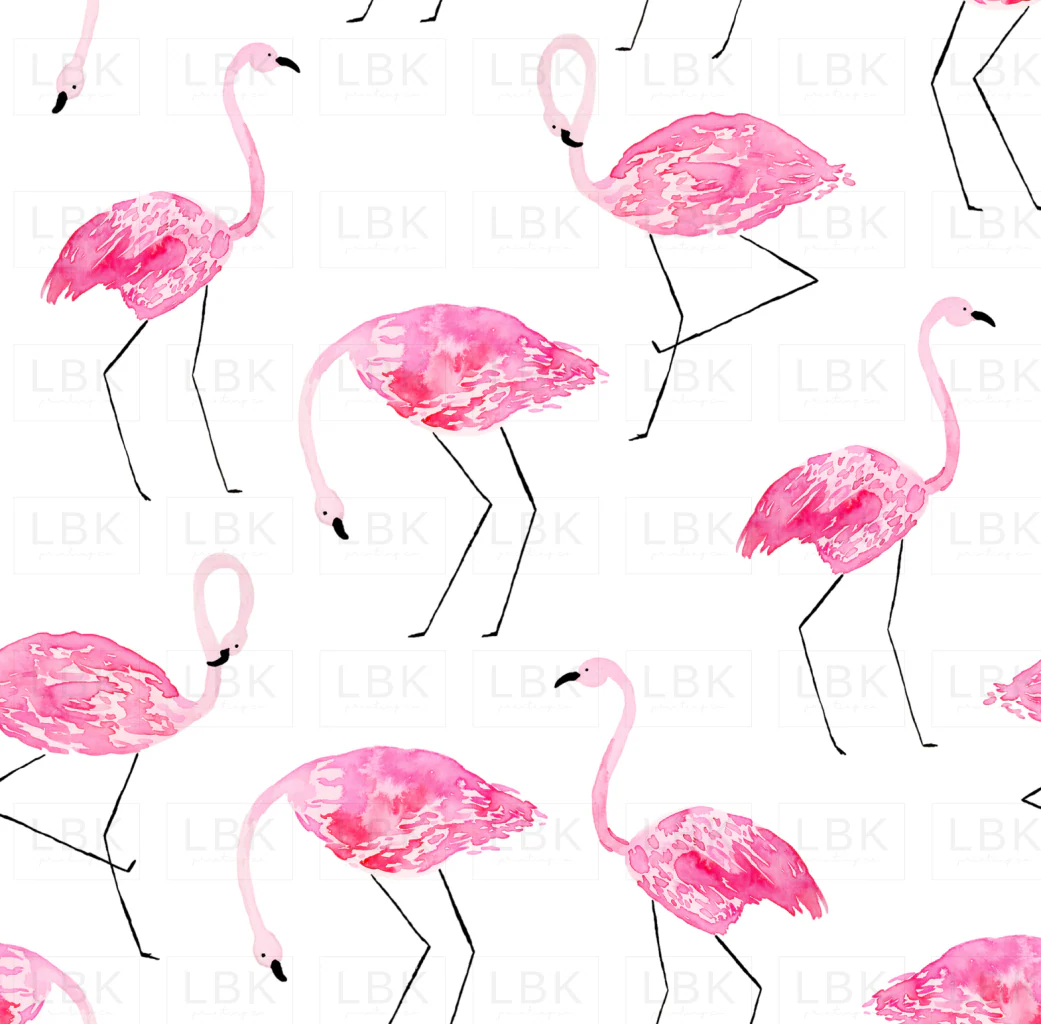 Hot Pink Flamingos