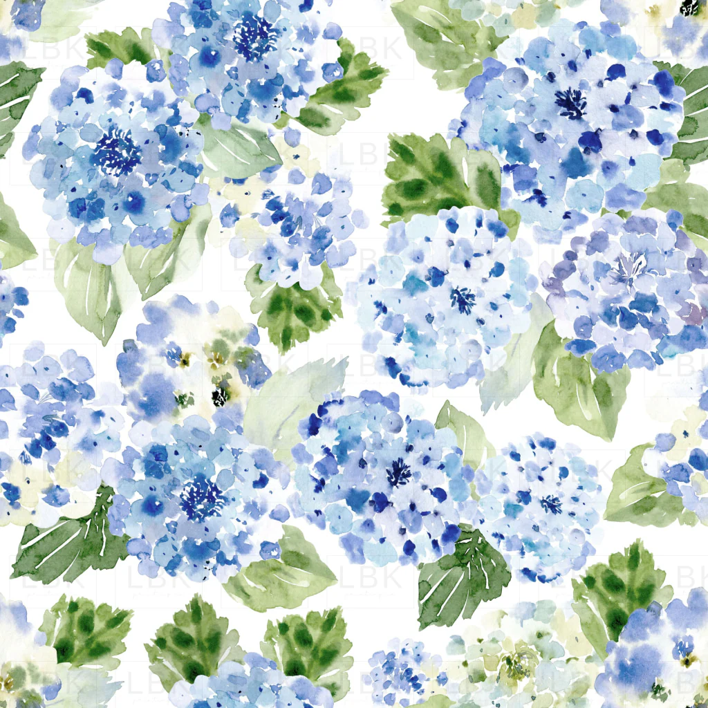 Hydrangea Watercolor Blue on Blush