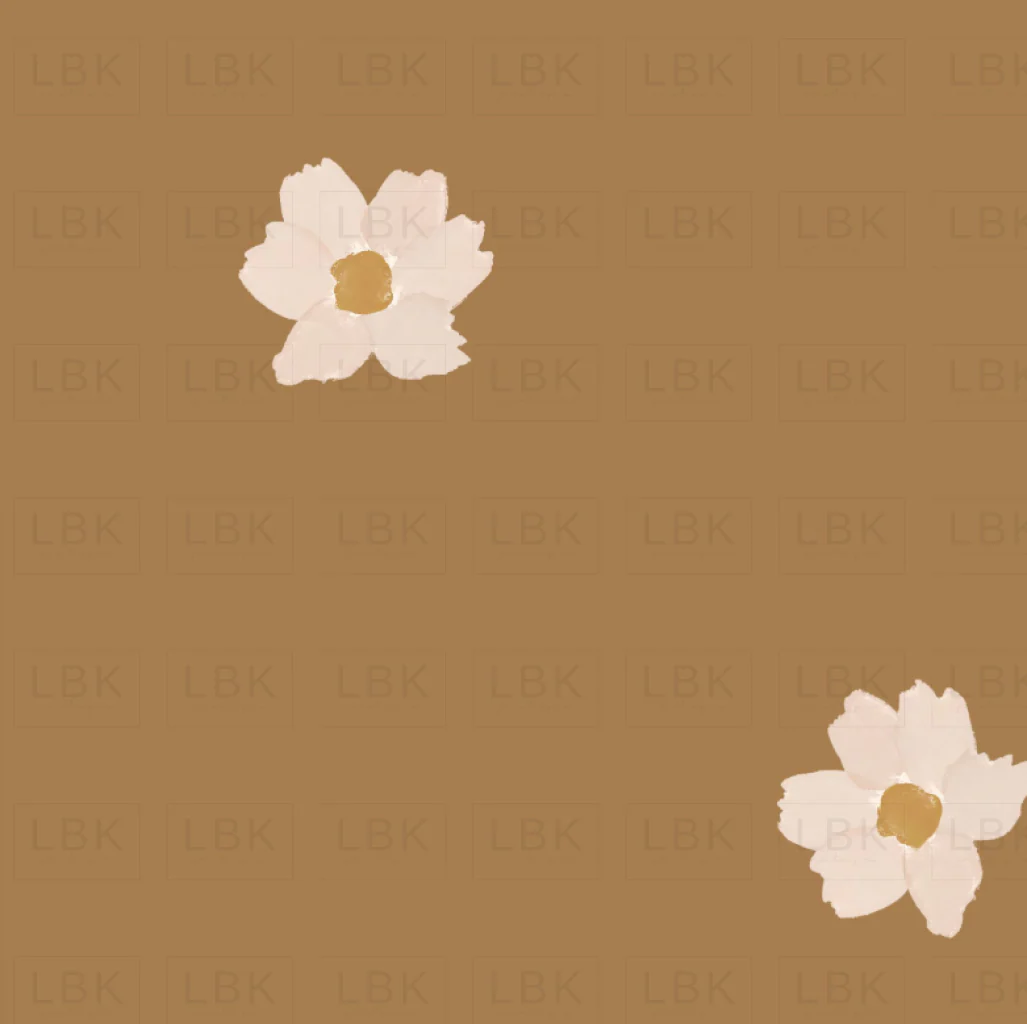 Indy daisy in golden brown