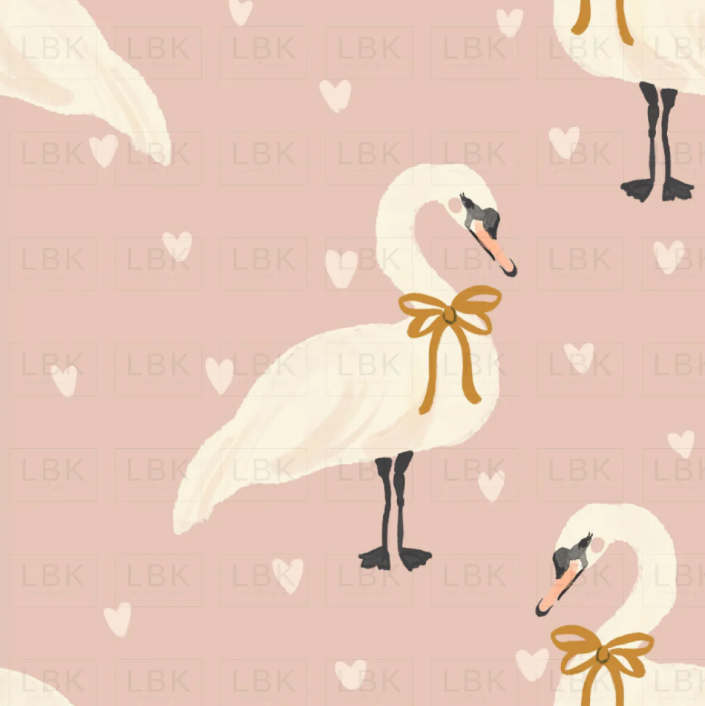 Indy love bird swans