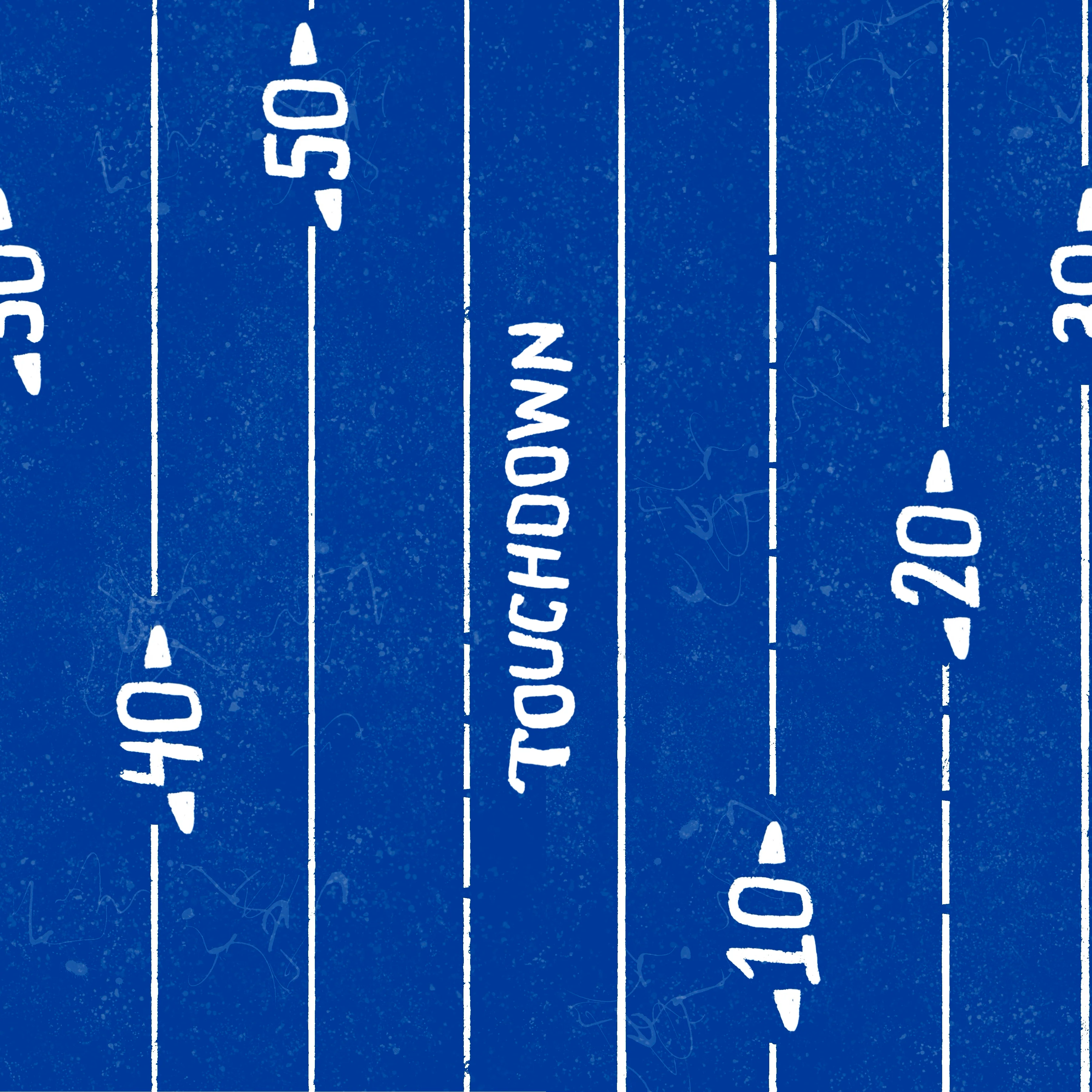 Las Angeles touchdown field stripe
