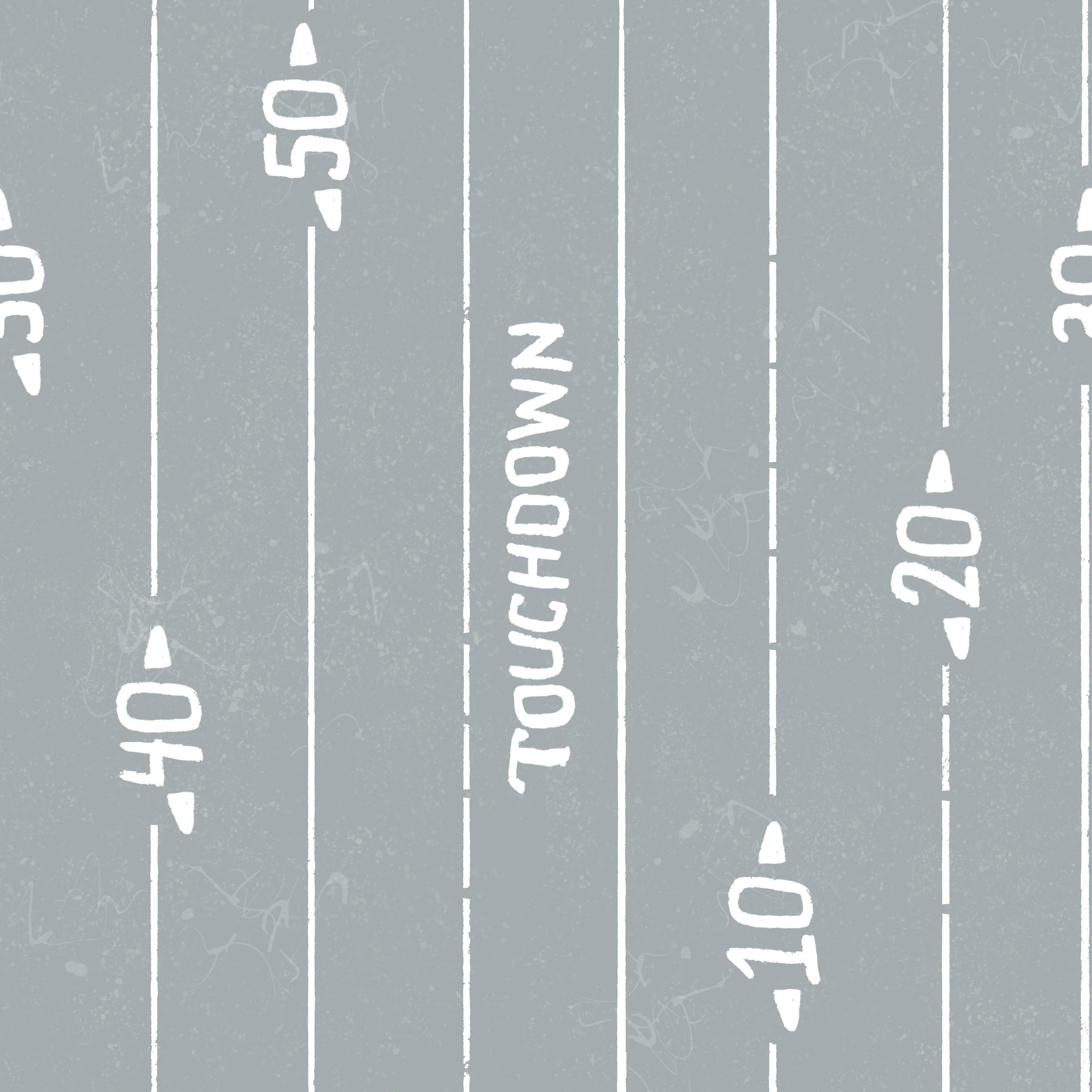 Las Vegas touchdown field stripe