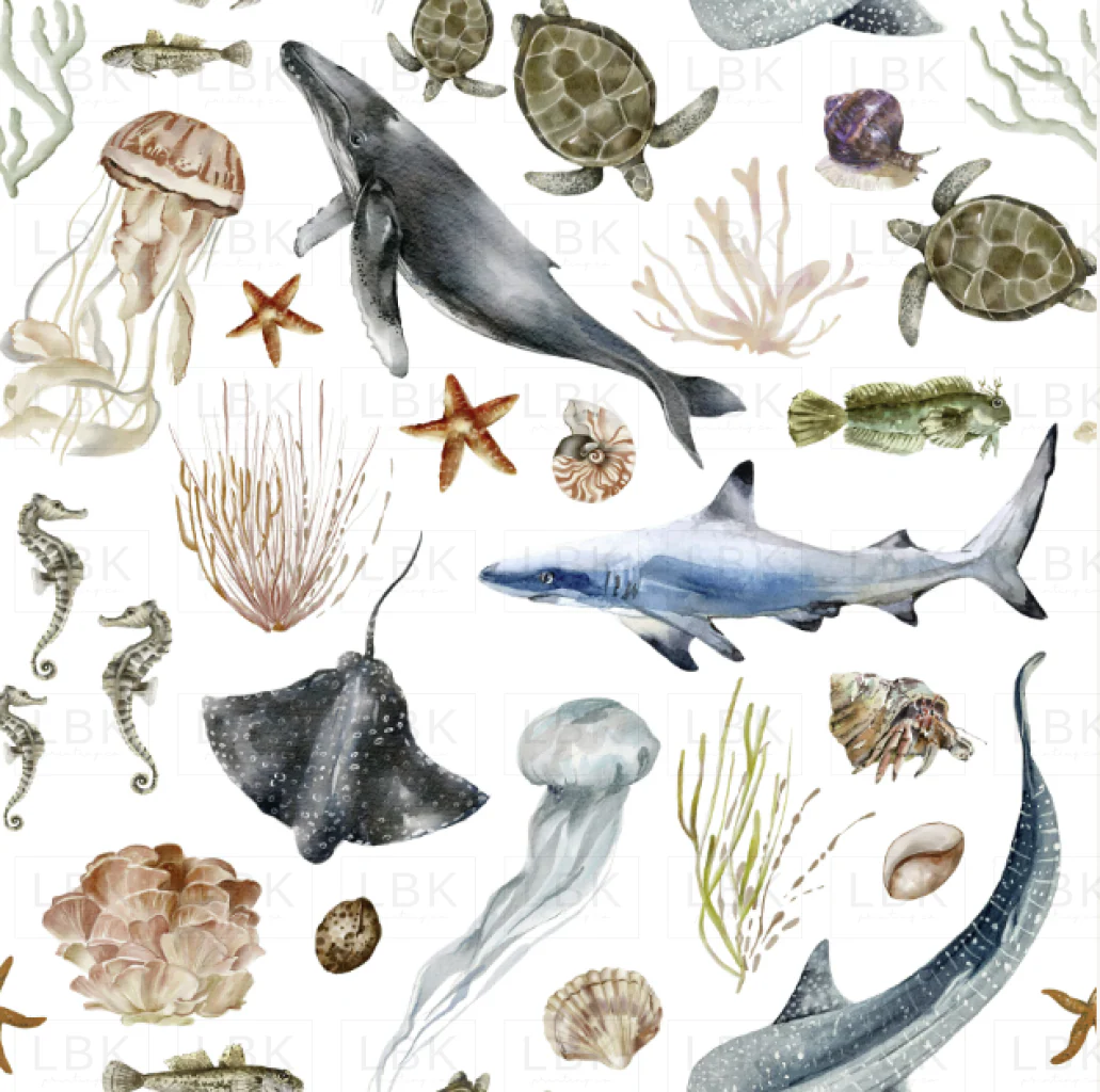 Ocean Fauna