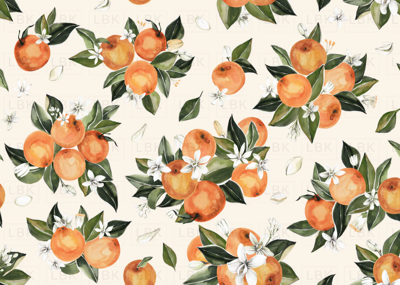 Orange Blossoms on Cream