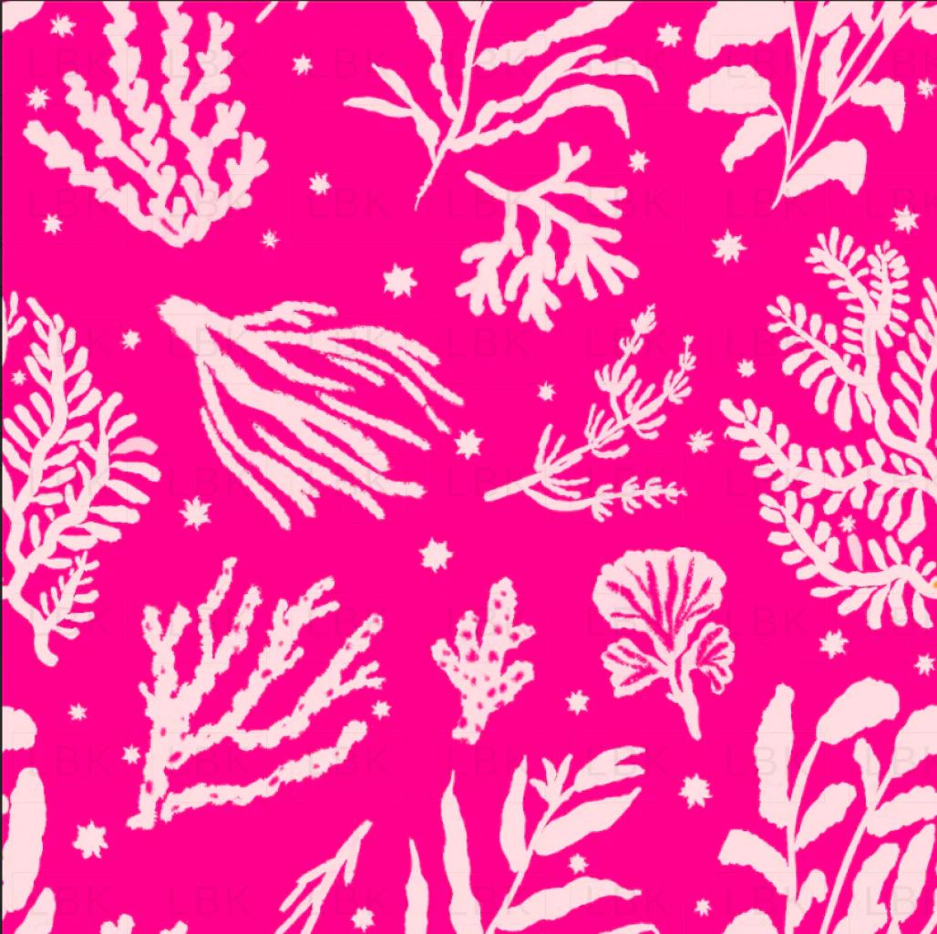 Reef Rhapsody bold reef raspberry