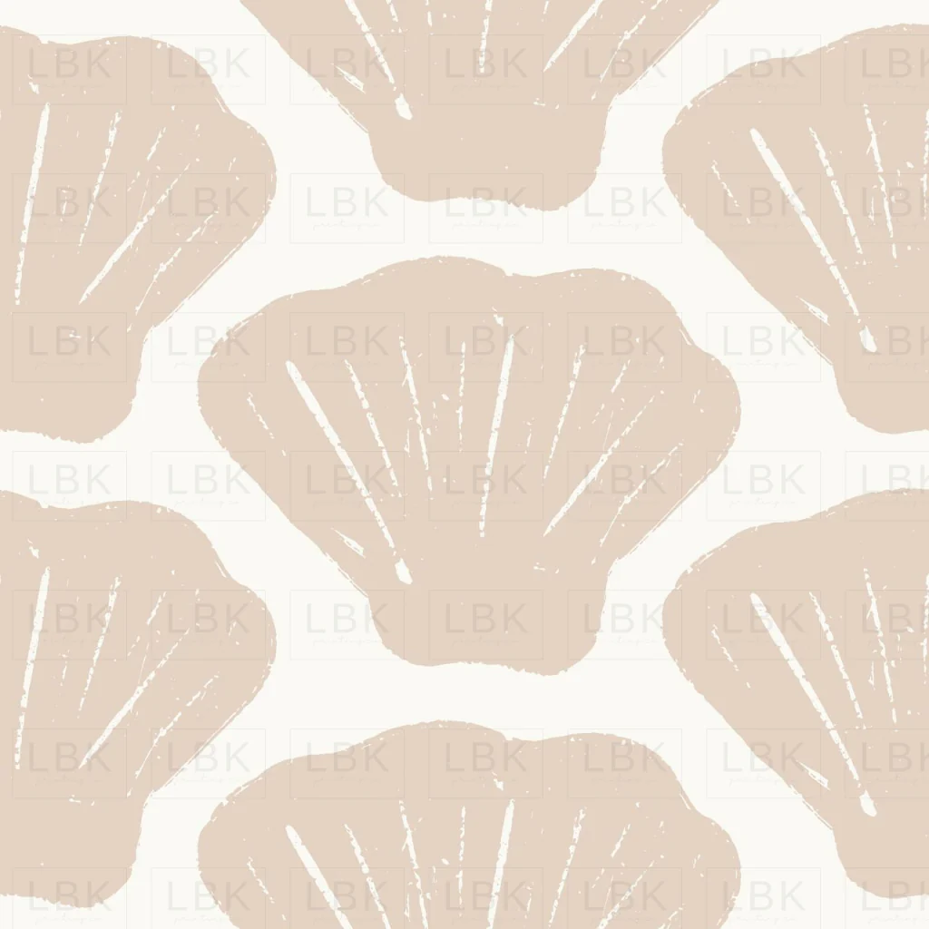 Scallop Shells_White