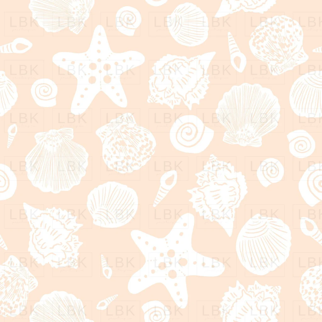 Sea shells in sandy