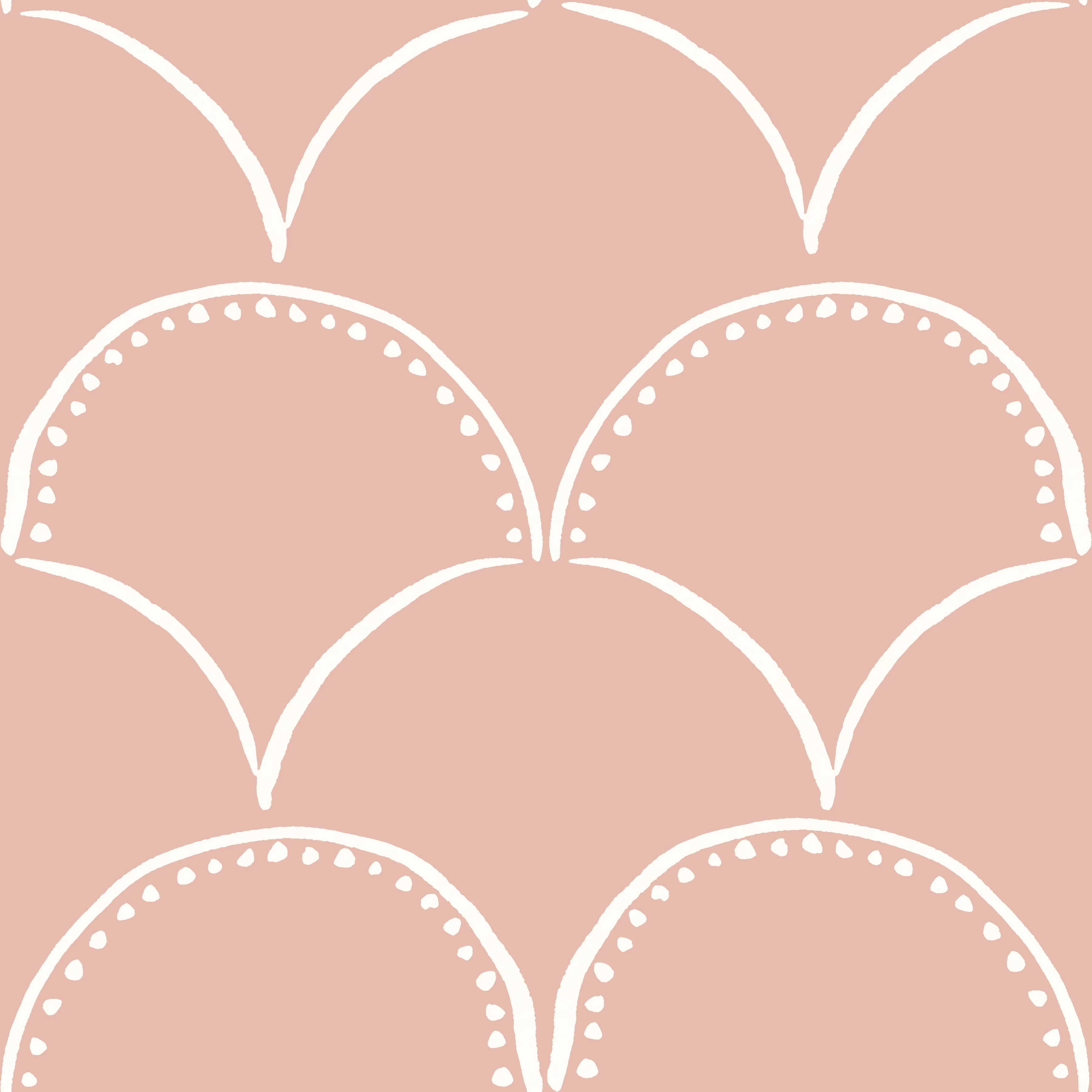 Simple Scallop- cream on pink