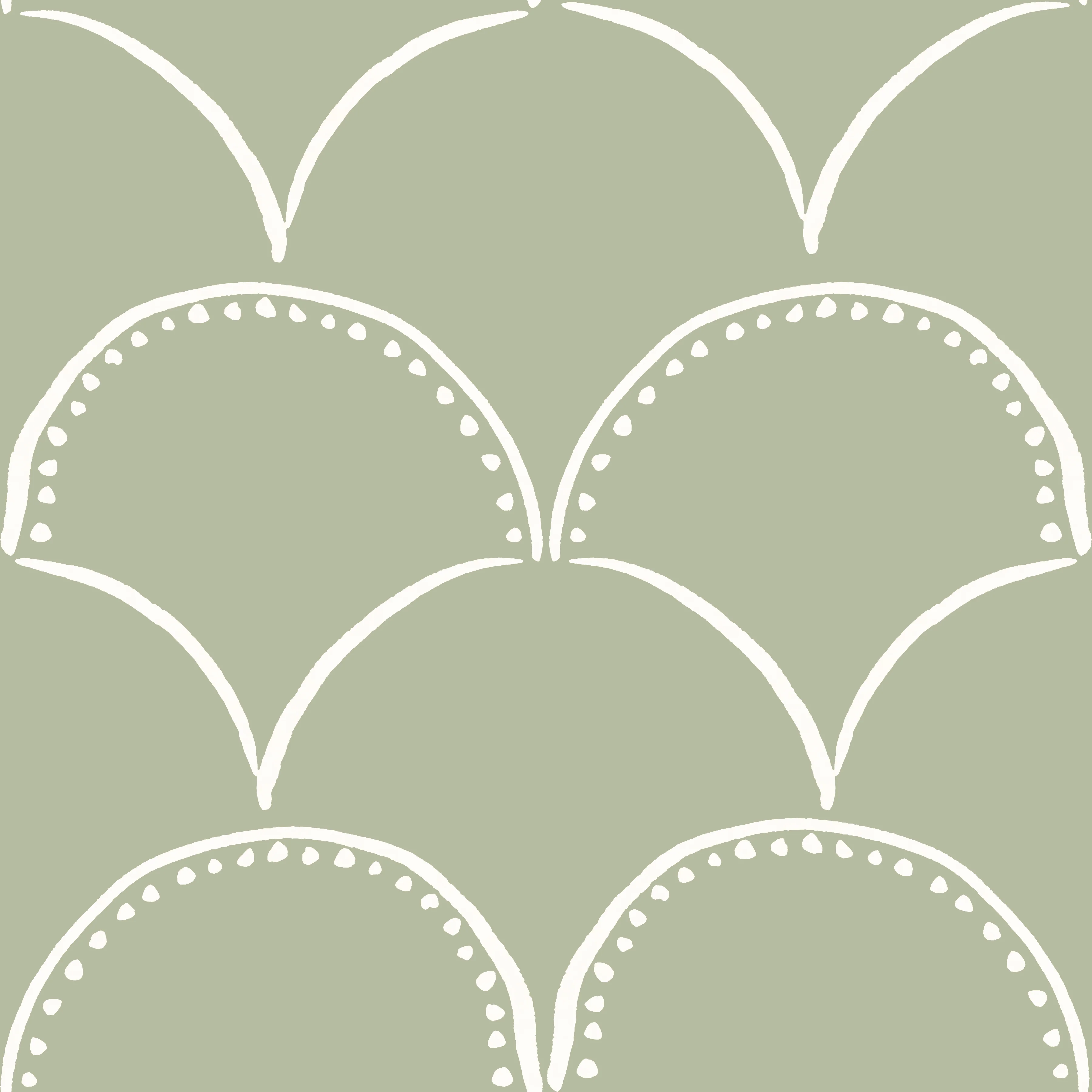 Simple Scallop- cream on sage green