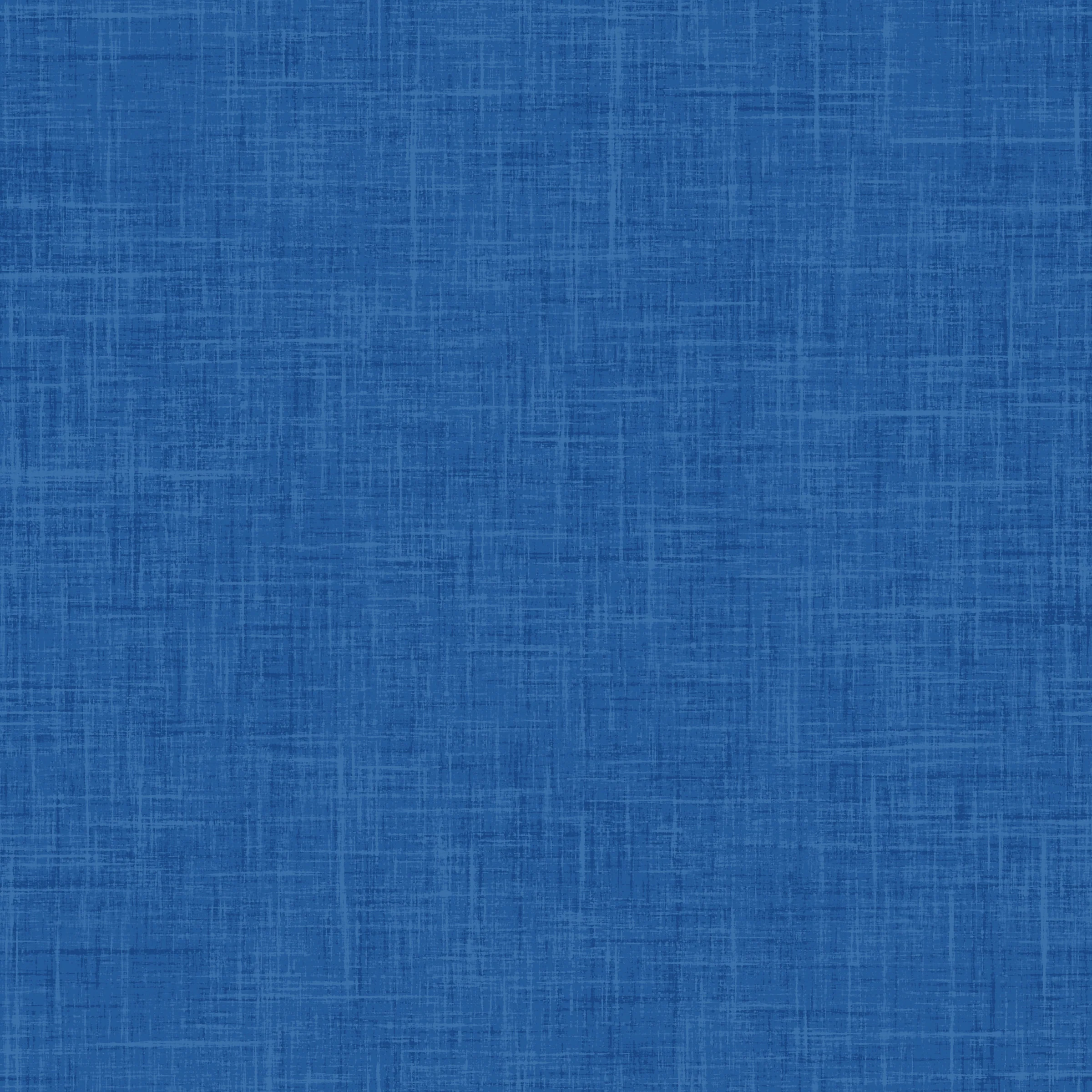 Skate Park Textured Solid Cobalt
