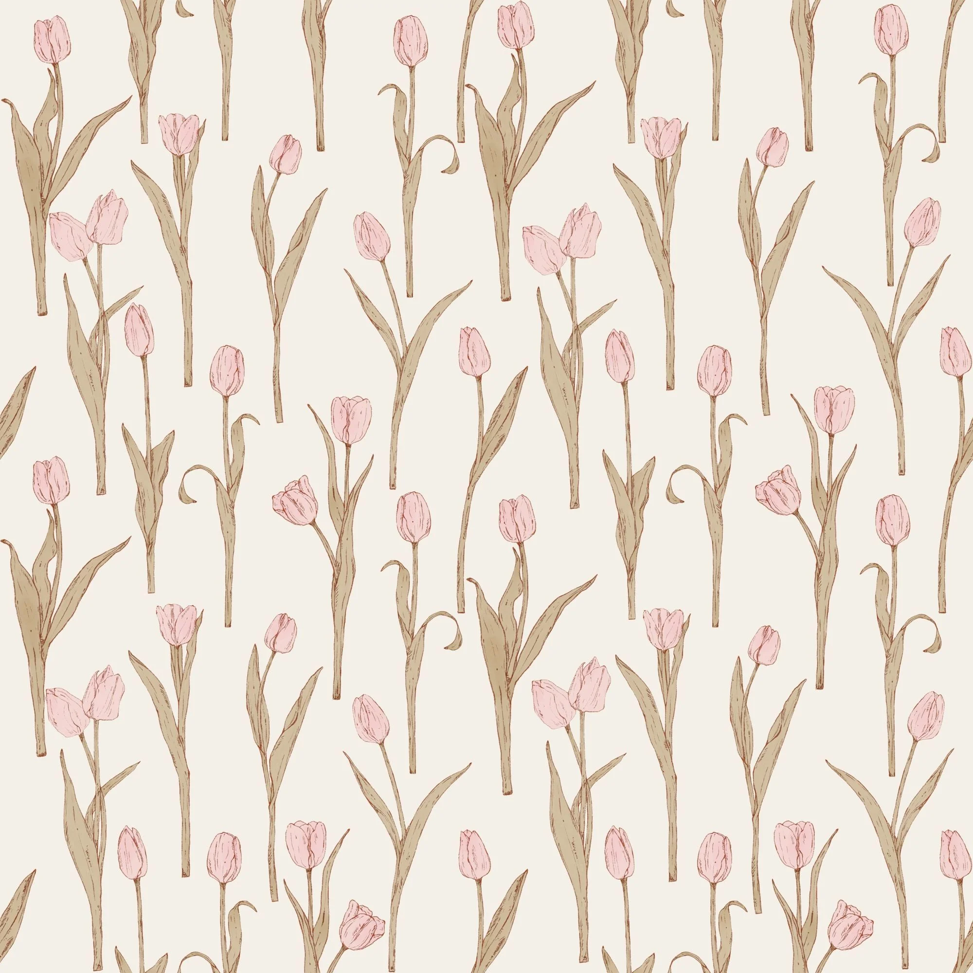 Tulips 02