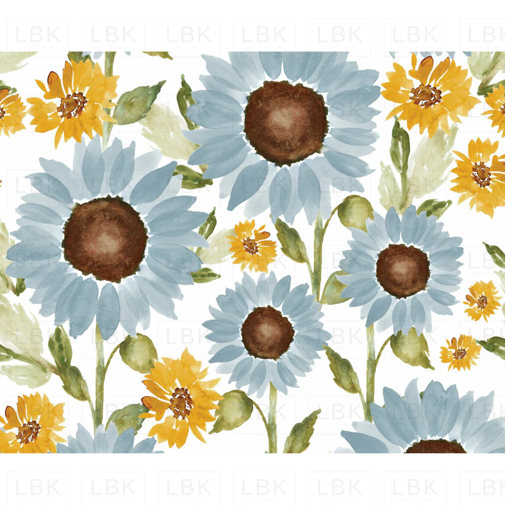 Sunflowers Fields