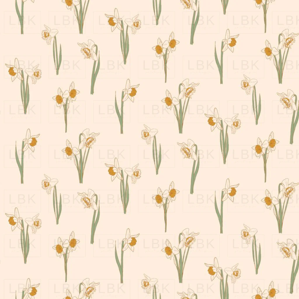tiny daffodils - cream