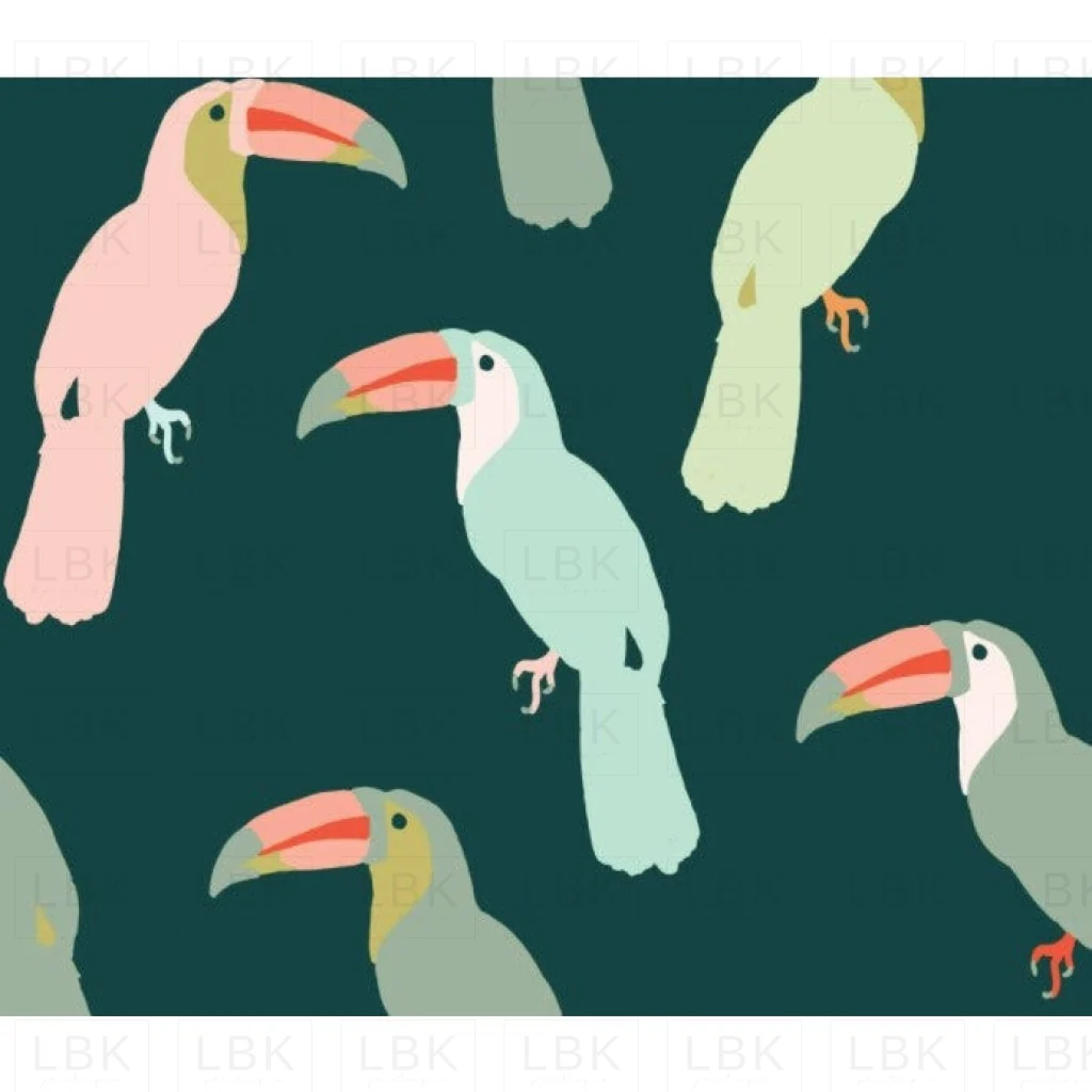Toucan