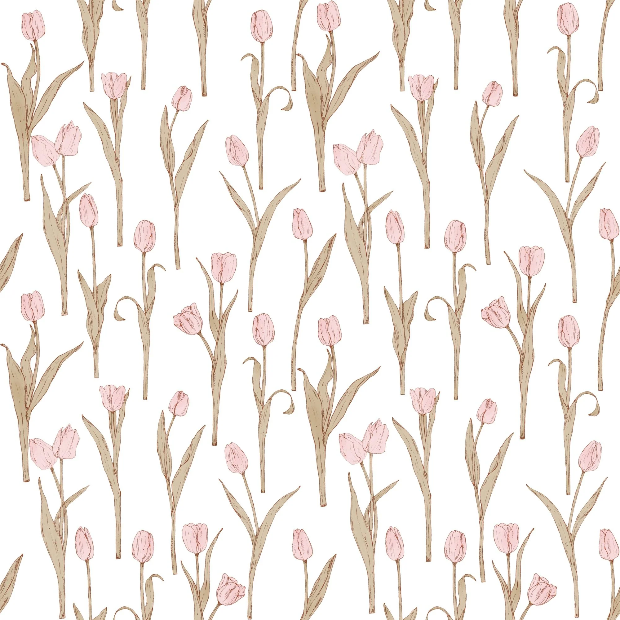 Tulips 01