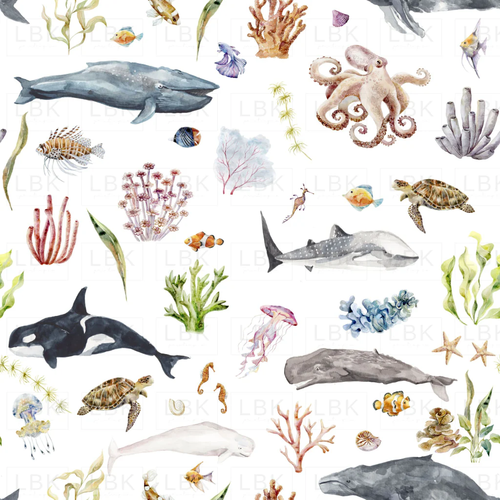 Under the Sea: Marine Life