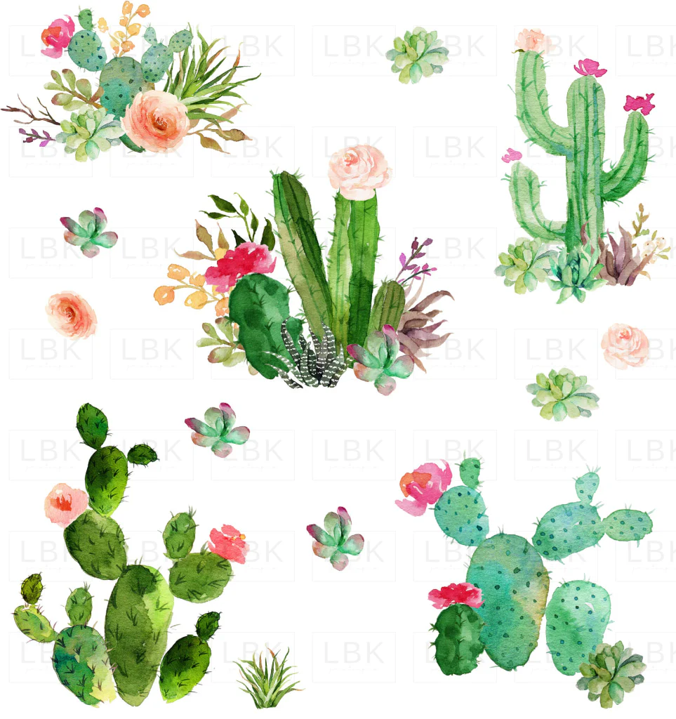 Watercolor Cactus and Succulents