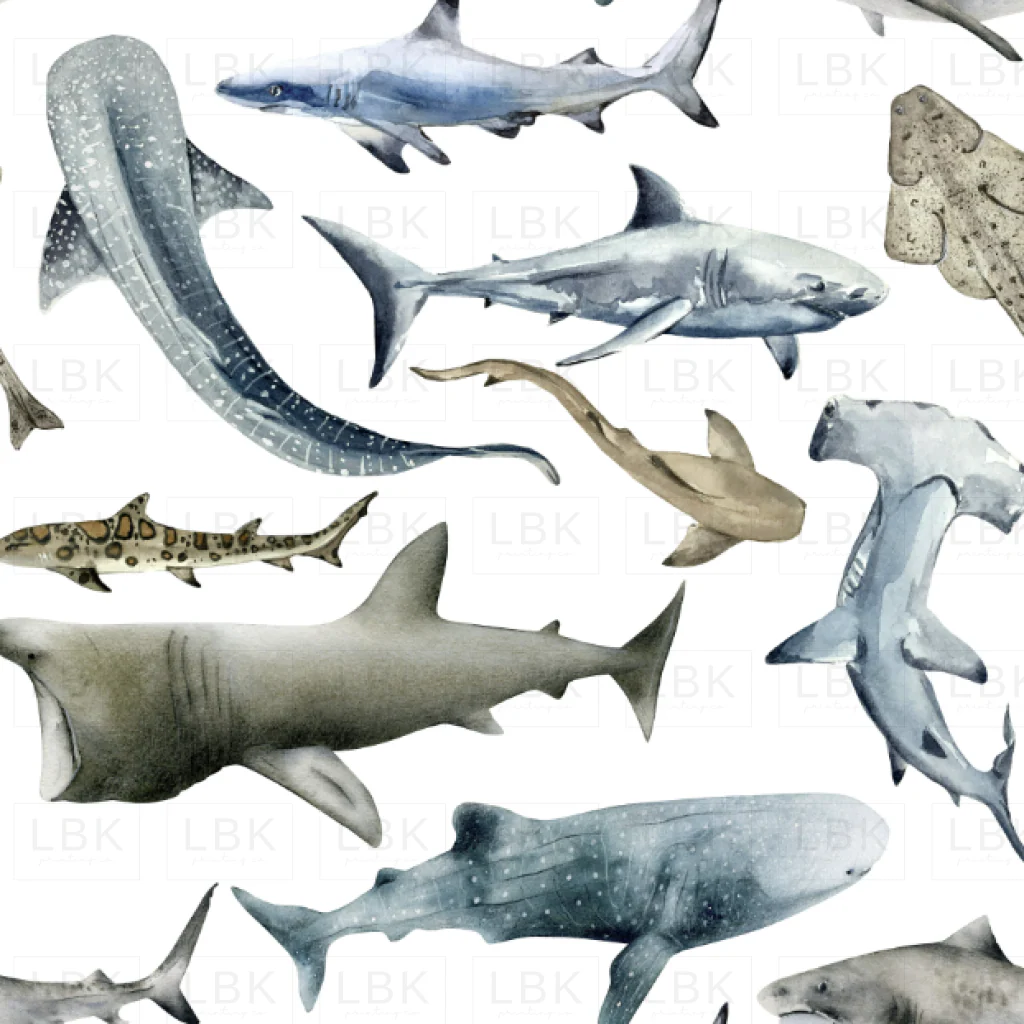 Watercolor Sharks