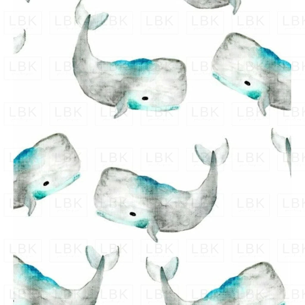 Whale Tale