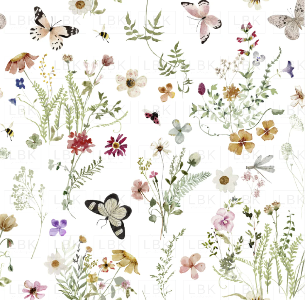 Wren's Wildflower Garden and Butterflies